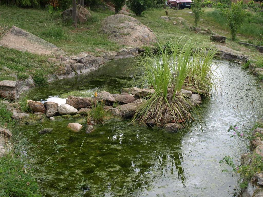 Casas Rurales Las Praderas Guest House Poyales Del Hoyo Cameră foto