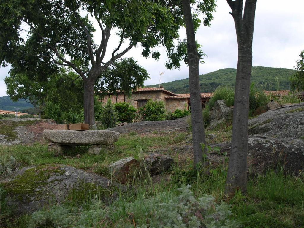 Casas Rurales Las Praderas Guest House Poyales Del Hoyo Cameră foto